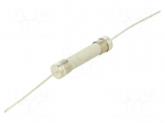 Fuse: fuse | 10A | 250VAC | 125VDC | ultra rapid | ceramic,cylindrical