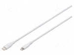 Cable | USB 2.0 | Apple Lightning plug,USB C plug | nickel plated