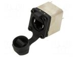 Connector: RJ45 | socket | Cat 5e | shielded | 8p8c | THT | 19.8x24mm