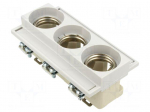 Fuse base | DIII | for DIN rail mounting | 63A | 500VAC | Poles: 3