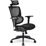 Sharkoon office chair OfficePal C40 (black)