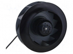 Fan: AC | radial | 230VAC | &Oslash;250x99mm | 1309m3/h | 75dBA | ball bearing