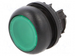 Switch: push-button | 22mm | Stabl.pos: 1 | green | M22-FLED,M22-LED