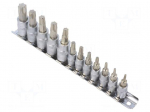 Wrench-set | socket spanner,Torx&reg; | Chrom-vanadium steel | 12pcs.