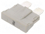 Fuse: fuse | automotive | 2A | 250VAC | 58VDC | 19mm | UNIVAL