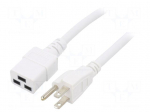 Cable | 3x14AWG | IEC C19 female,NEMA 5-15 (B) plug | PVC | 3m | white