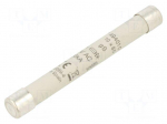 Fuse: fuse | 10A | 1kVAC | gS | ceramic,industrial | 10x85mm