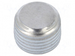 Hexagon head screw plug | with micro encapsulation | DIN 906