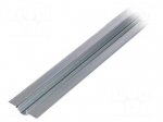 Profiles for LED modules | natural | L: 1m | FASKO | aluminium | raw