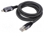 Cable | USB 3.1 | RJ45 plug,USB C plug | nickel plated | 2m | U/FTP | Cu