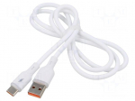 Cable | USB 2.0 | USB A plug,USB C plug | nickel plated | 1m | white
