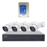 PNI House IPMAX POE 8 video surveillance system package, NVR with 4 cameras and PNI SafeHouse 1TB HDD