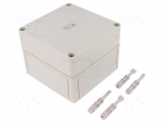 Enclosure: multipurpose | X: 130mm | Y: 130mm | Z: 99mm | TK PS | grey