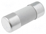 Fuse: fuse | gG | 100A | 500VAC | ceramic,cylindrical,industrial