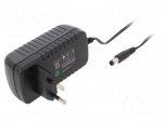 Power supply: switching | mains,plug-in | 12VDC | 2A | 24W | 81.94%