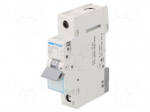 Circuit breaker | 230/400VAC | Inom: 25A | Poles: 1 | Charact: C | 6kA