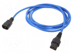 Cable | IEC C13 female,IEC C14 male | 3m | with IEC LOCK locking