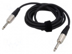 Cable | Jack 6,3mm 2pin plug,both sides | 3m | black | 0.25mm2