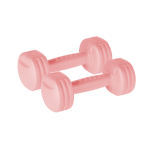 Spordiks ja aktiivseks puhkuseks // Spordikaubad ja varustus // Hantelki bitumiczne 2x1kg, REBEL ACTIVE