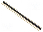 Connector: pin strips | pin header | male | PIN: 40 | THT | straight