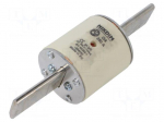 Fuse: fuse | 250A | 500VAC | gG | industrial | NHg