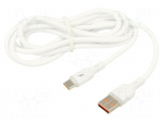 Cable | USB 2.0 | USB A plug,USB C plug | nickel plated | 1.8m | white