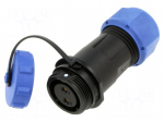 Connector: circular | plug | female | PIN: 2 | IP68 | SP17 | 6&divide;10mm | 15A