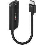 Lindy Converter HDMI 4K80 > DisplayPort 1.4 (black, 16cm)
