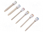 Key set | socket spanner | Chrom-vanadium steel | Pcs: 6 | Bit: Torx&reg;