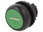 Switch: push-button | 22mm | Stabl.pos: 2 | green | none | IP67 | flat