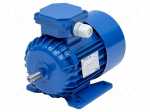 Motor: AC | 3-phase | 0.37kW | 230/400VAC | 2840rpm | IP54 | -30&divide;60&deg;C