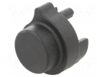 Adapter | Spacial SF,Spacial SM