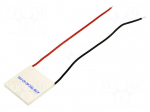 Module: Peltier | 24.1V | 3A | 40x40x4.2mm | 41.6W | ceramics | 20AWG