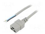 Cable | 3x1.5mm2 | IEC C19 female,wires | PVC | Len: 3m | grey | 16A | 250V