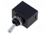 Switch: toggle | Pos: 2 | SPDT | ON-OFF | 6A/250VAC | 10A/30VDC | WT