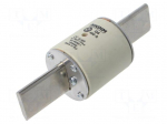 Fuse: fuse | 400A | 500VAC | gG | industrial | NHg