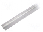 Profiles for LED modules | recessed | natural | L: 2m | aluminium