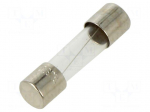 Fuse: fuse | 1A | 250VAC | time-lag | cylindrical,glass | 5x20mm | S506
