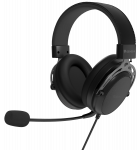 Headphones Genesis Toron 301 Black