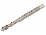 Tap | M6 | 1 | L: 80mm | Holder: machine | 4.9mm | ISO2/6H | for blind holes