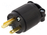 Connector: AC supply | male | power supply | plug | 2P+PE | 250VAC | 15A