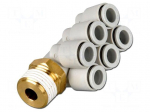 Push-in fitting | threaded,angled 90&deg; | -1&divide;10bar | Thread: R 1/8"