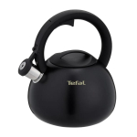 Non-Electric Kettle TEFAL N4180410, Black, Matte
