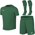 Komplet sportowy dla małych dzieci Nike Dri-Fit Park VIII zielony HV8260 302 XS