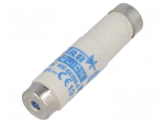 Fuse: fuse | gR | 20A | 500VAC | 315VDC | ceramic | DI | D
