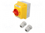 Switch: cam switch | Stabl.pos: 2 | 16A | 0-1 | Mounting: wall mount