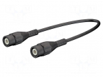 Test lead | BNC plug,both sides | Len: 1m | black | Z: 50&Omega; | brass