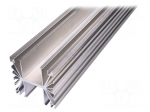 Heatsink: extruded | grilled | natural | L: 1000mm | W: 119mm | H: 119mm