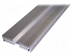 Heatsink: extruded | grilled | natural | L: 1000mm | W: 164mm | H: 40mm