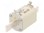 Fuse: fuse | 250A | 500VAC | gG | ceramic,industrial | NH1 | WT-NH